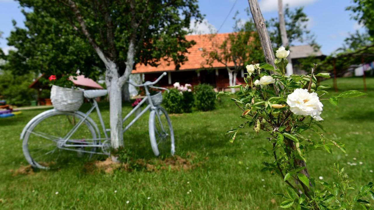 House Luna Rakovica Ngoại thất bức ảnh
