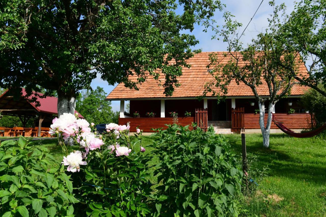 House Luna Rakovica Ngoại thất bức ảnh